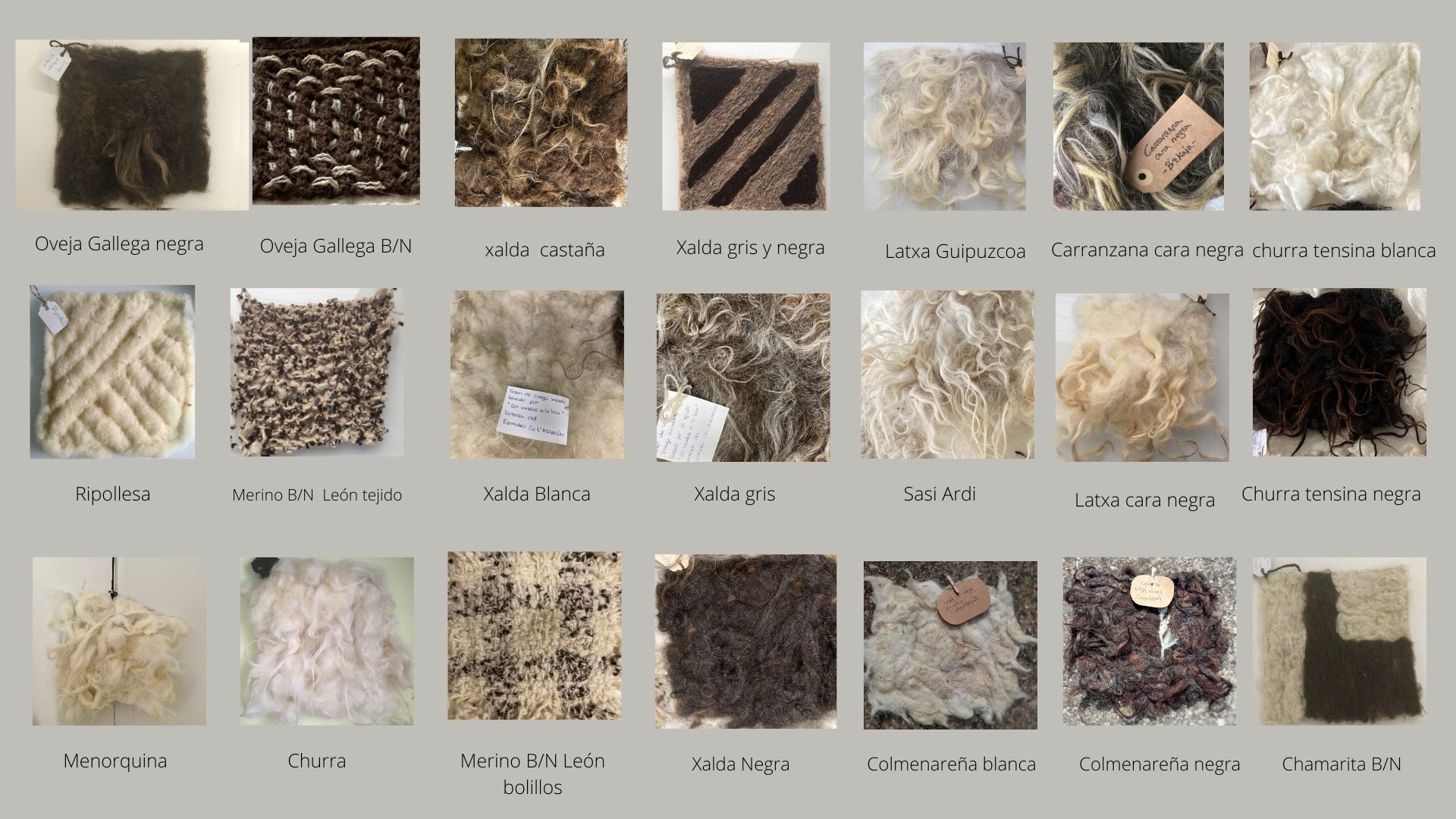 Mapa de lanas piezas identificadas 4