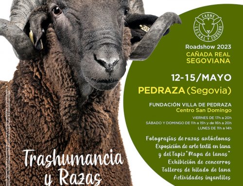Roadshow Bestiarium Pedraza, Primavera 2023