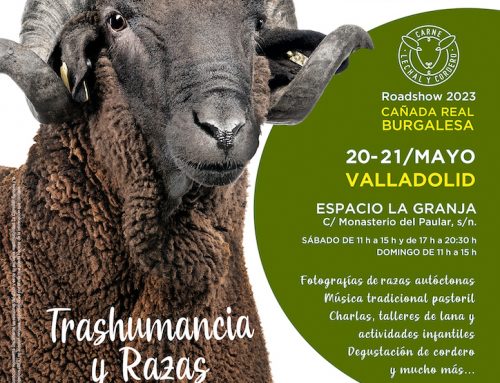 Roadshow Bestiarium Valladolid