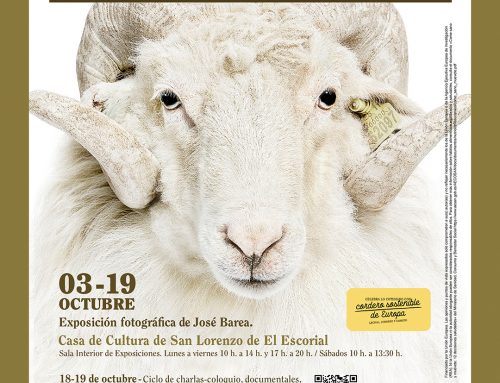 Hilandia y Bestiarium en San Lorenzo de El Escorial