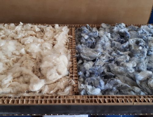 De residuo a recurso: la lana que construye futuro