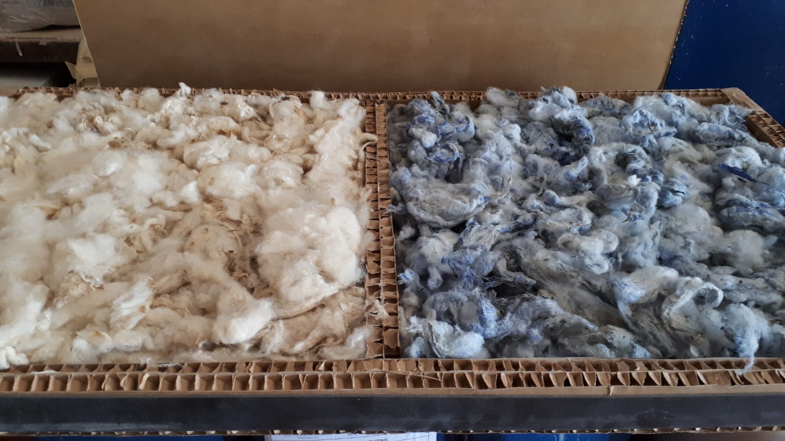 Lana cruda y lana azul Vitro100