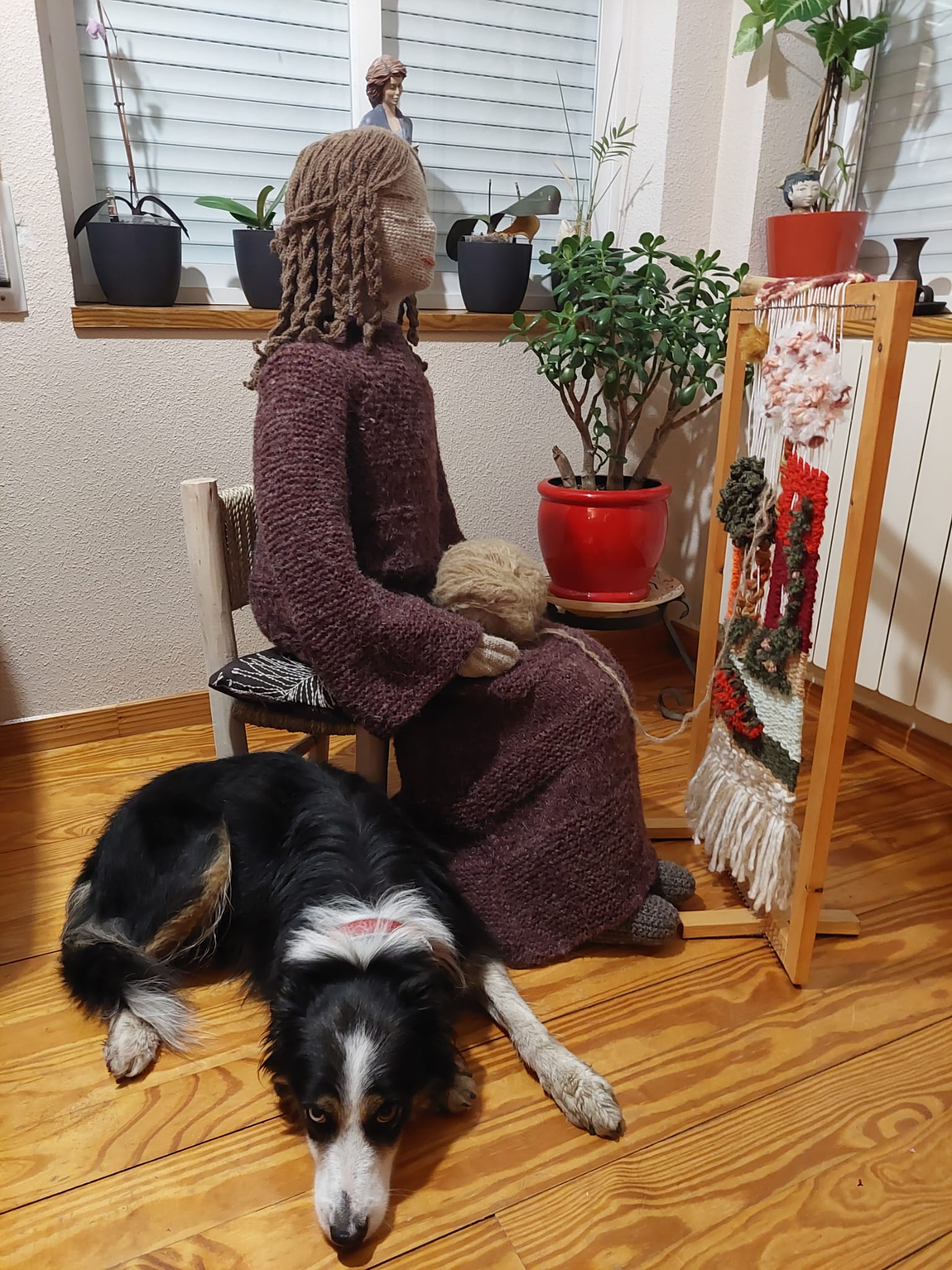 el perro vigilando a penelope