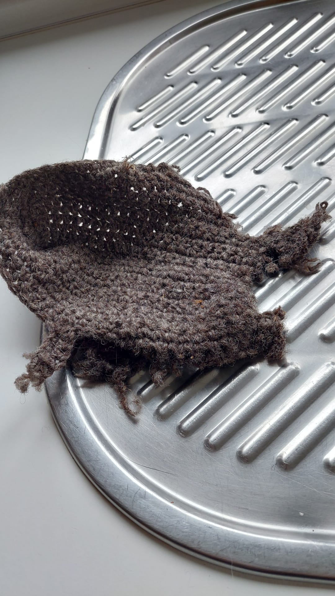 y el perro se comió los zapatos 8