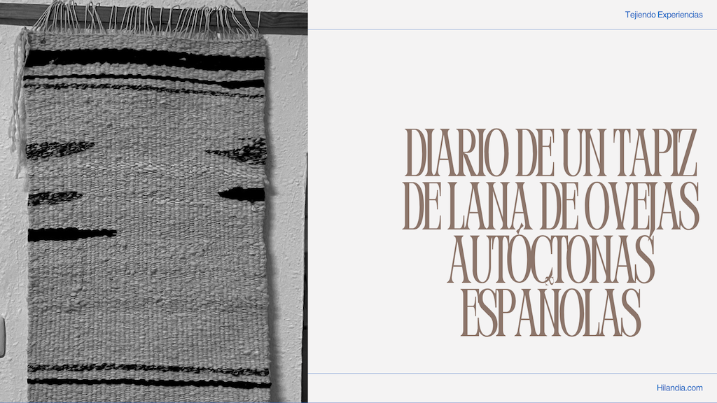 portada Diario dde una alfombra